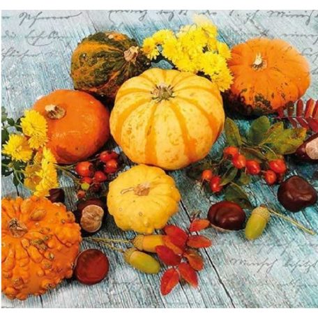 Ambiente Happy Harvest papírszalvéta 33x33cm - 20db-os