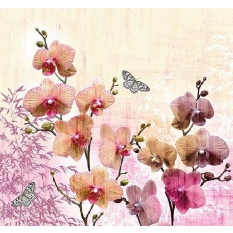 Ambiente Orchid Orient papírszalvéta 33x33cm - 20db-os
