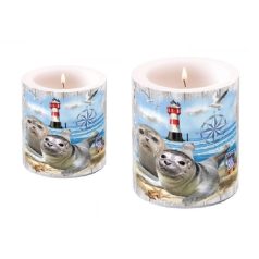   Ambiente átvilágítós gyertya - Seal Couple - 8x7,5 cm, 12x10 cm