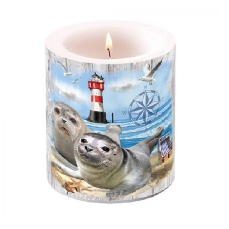 Ambiente átvilágítós gyertya - Seal Couple - 8x7,5 cm, 12x10 cm