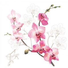 Ambiente Orchid papírszalvéta - 33x33cm - 20db-os