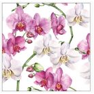 Ambiente papírszalvéta - Elegant orchids white - 25x25 cm, 33x33 cm - 20 db/csomag