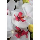 Fehér három szárú mű orchidea - 90 cm