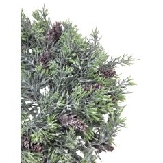 Tobozos tuja alap hamvas - 36 cm
