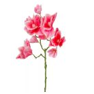 Magnólia ág gumi - Rózsaszín - 57 cm