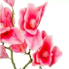 Magnólia ág gumi - Rózsaszín - 57 cm