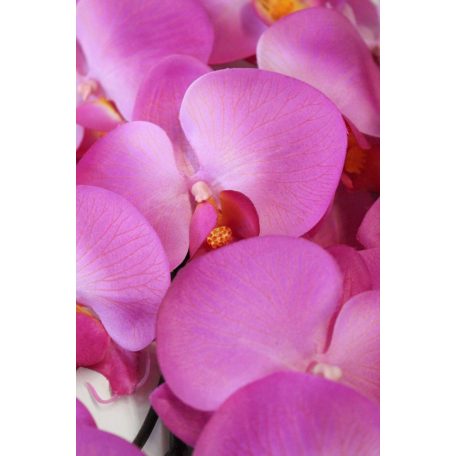 Lila három szárú mű orchidea, levelekkel - 90 cm