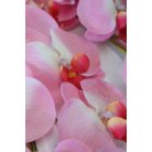 Rózsaszín három szárú mű orchidea, levelekkel - 90 cm