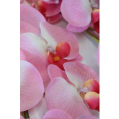 Rózsaszín három szárú mű orchidea, levelekkel - 90 cm