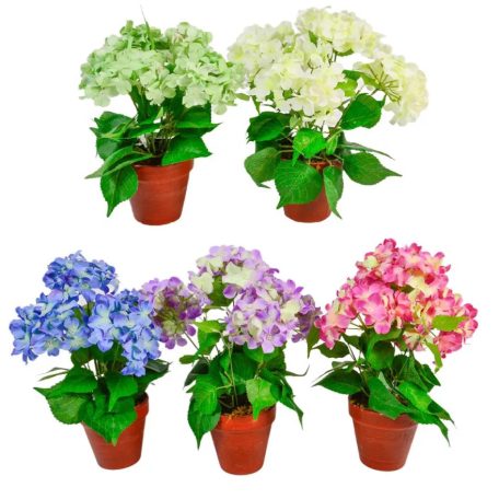 Hortenzia cserepes - 4 virágos - 5 színben - 38 cm 