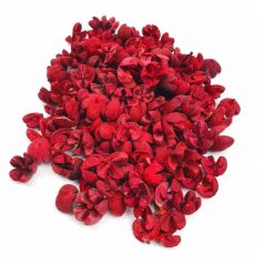  Tulipán termés fehérített piros - 12,6 dkg/csomag