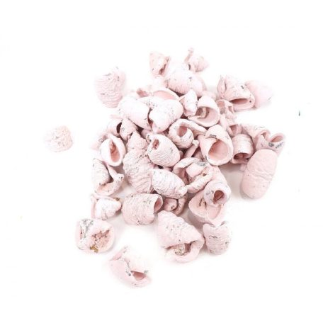  Lali termés - Rózsaszín - 21,5 dkg/csomag