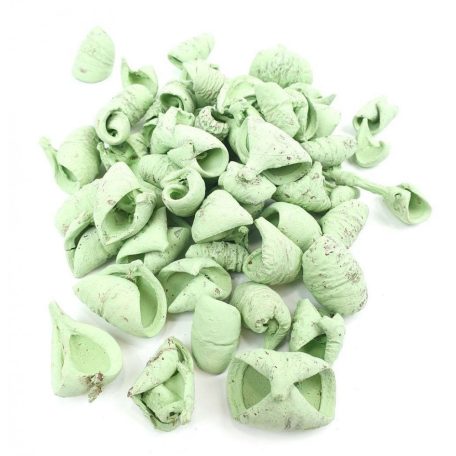 Lali termés - Világos zöld - 20 dkg/csomag