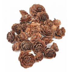 Cédrus rózsa fej - 3-5 cm - 11 dkg/csomag