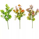 Eukaliptusz bokor - 3 ágú mix - 44 cm