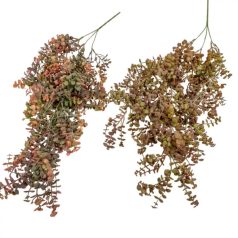 Eukaliptusz csüngő őszi -Barna - 75 cm