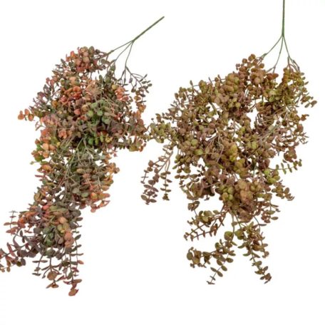 Eukaliptusz csüngő őszi -Barna - 75 cm