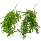 Eukaliptusz csüngő - Zöld - 75 cm 