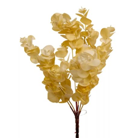 Eukaliptusz bokor - 5 ágú - Fehér - 31 cm 