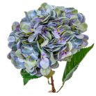 Hortenzia szálas gumi - Világoskék - 55 cm