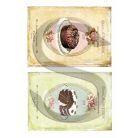 Rizspapír - A4 - Receptfüzet 6. - CK-1748