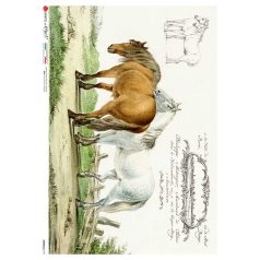 Paper Design rizspapír - A4, A5 - Animals - 0197