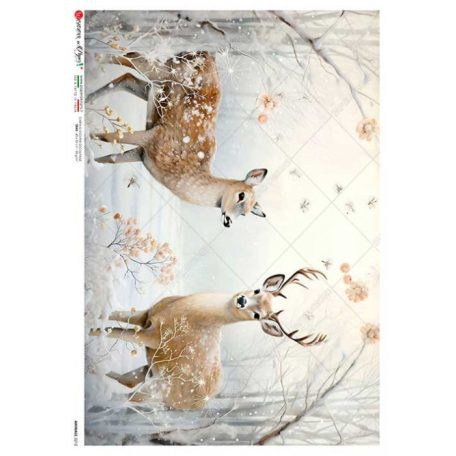 Paper Design rizspapír - A5, A4 - Animals - 0212