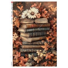   Paper design rizspapír  - A5 - 22,5x16 cm - Old Objects - 0047