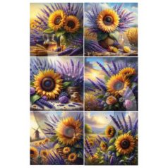    Rizspapír - A4 - Levendula és fűszernövények: Napraforgó és levendula - CK-4318