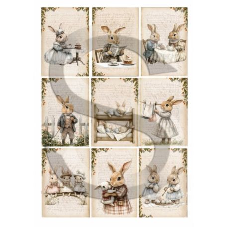 Rizspapír - A4 - Nosztalgia nyuszik - CK-5096