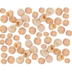 Éticsiga - Natúr - 10 dkg