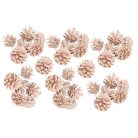 Rózsa toboz - Falfestékes barack - 40 dkg/csomag