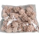 Rózsa toboz - Falfestékes barack - 40 dkg/csomag