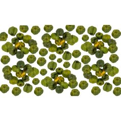 Liliputi tök - Putka pod - Világoszöld - 9 dkg/csomag