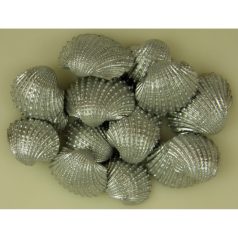 Kagyló - Ezüst - 2-3 cm - 10 dkg