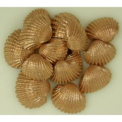 Kagyló - Arany - 3-5 cm - 20 dkg/csomag