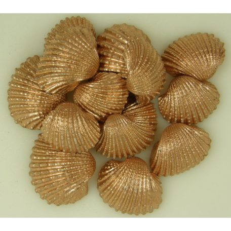 Kagyló - Arany - 3-5 cm - 20 dkg/csomag