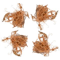 Kócos moha /Curly moos - Natúr - 12 dkg/csomag