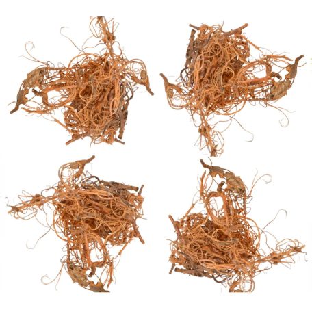 Kócos moha /Curly moos - Natúr - 12 dkg/csomag