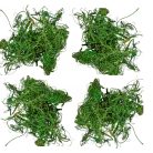 Kócos moha /Curly moos - Sötétzöld - 15 dkg/csomag