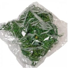 Kócos moha /Curly moos - Sötétzöld - 15 dkg/csomag