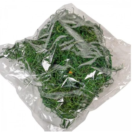 Kócos moha /Curly moos - Sötétzöld - 15 dkg/csomag