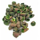 Lali termés -  Világoszöld - 26 dkg/csomag