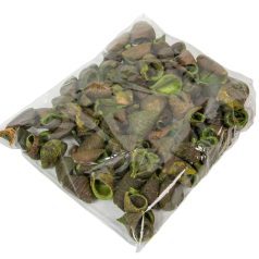 Lali termés -  Világoszöld - 26 dkg/csomag