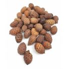  Pálma mag - Natúr - 18 dkg/csomag