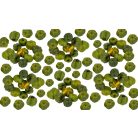 Liliputi tök - Putka pod - Világos zöld - 8,5 dkg/csomag