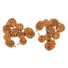 Casuarina falfestékes - Narancs - 17 dkg/csomag