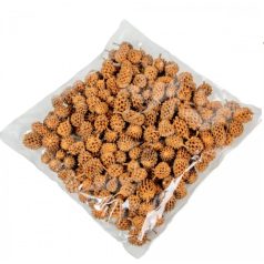 Casuarina falfestékes - Narancs - 17 dkg/csomag