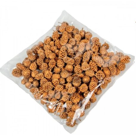 Casuarina falfestékes - Narancs - 17 dkg/csomag