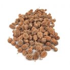 Casuarina falfestékes - Narancs - 17 dkg/csomag